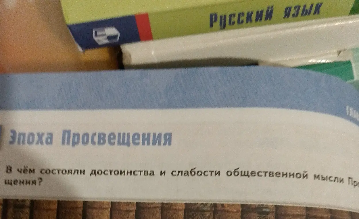 В чём состоят достоинства и слабости общественной мысли Просвещения?