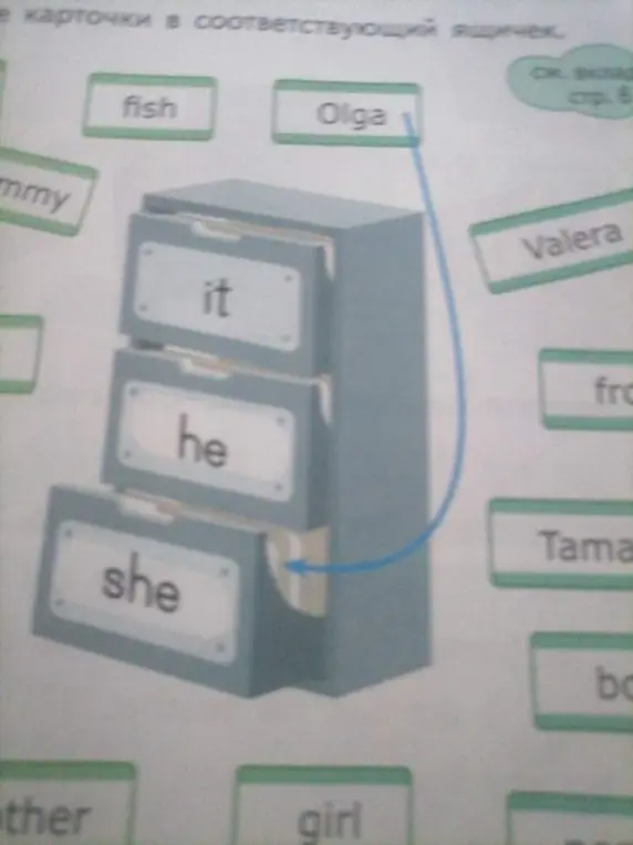 Предложи разложить слова по ящичкам с местоимениями he, she, it