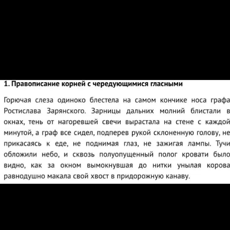 Выполни анализ текста и найди все словарные обороты и объясни их