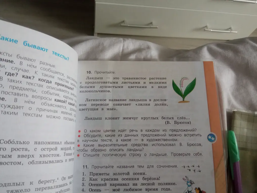Выполни упражнение 10: определи, о каком цветке идёт речь в каждом из предложений.
