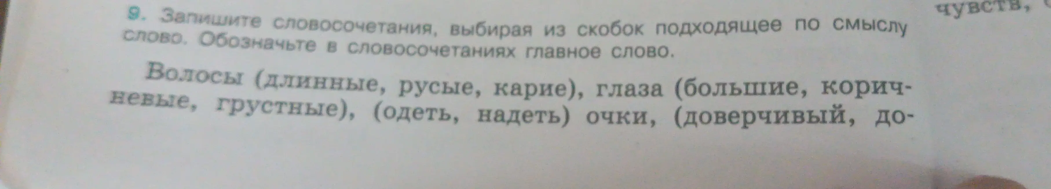 Предложи способы составить словосочетания, выбирая из скобок подходящее по смыслу слово, и обозначь главное слово в словосочетаниях в упражнении про волосы, глаза и очки
