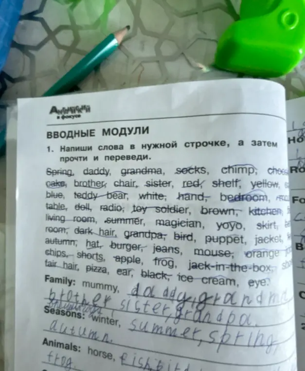 Напиши слова в нужной строчке, а затем прочти и переведи.