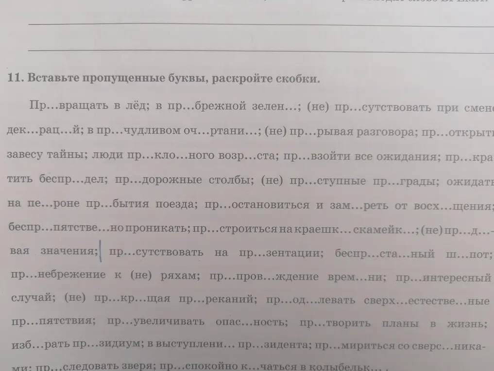 Вставь пропущенные буквы и раскрой скобки в предложениях