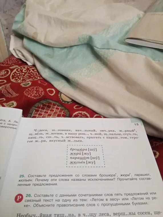 Составь предложения со словами брошюра, жюри, парашют, жюльен. Почему эти слова названы исключениями?