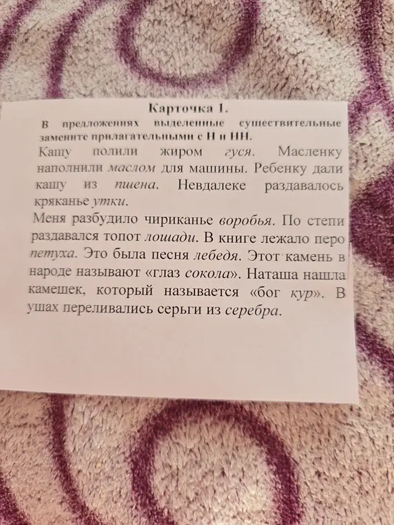 В предложениях замени выделенные существительные прилагательными с Н и НН