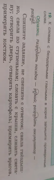 Подбери проверочные слова к словам с безударными гласными в корне: свила гнёздышко.