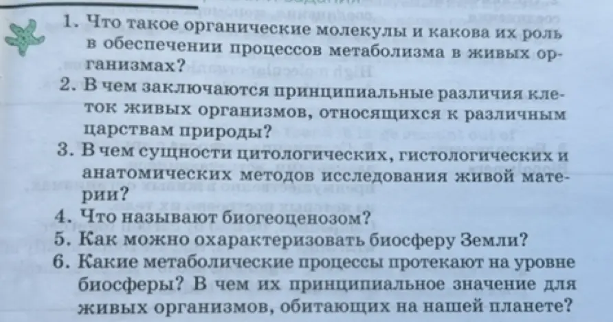 Что такое органические молекулы и какова их роль в обеспечении процессов метаболизма в живых организмах?