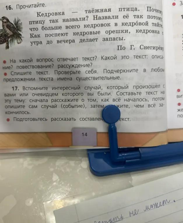 Ответь на вопрос: на какой вопрос отвечает текст про кедровку? Подчеркни имена существительные
