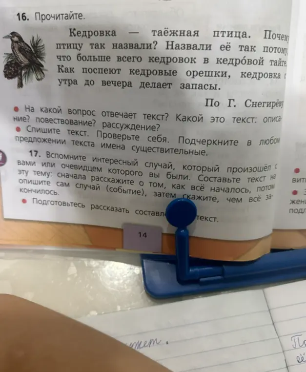 Определи, на какой вопрос отвечает текст про кедровку и какой это текст: описание, повествование или рассуждение. Спиши текст и подчеркни в любом предложении имена существительные