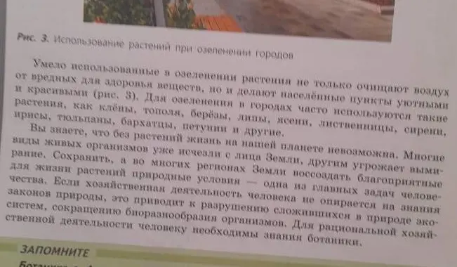 Можешь сделать краткий пересказ текста об использовании растений при озеленении городов?