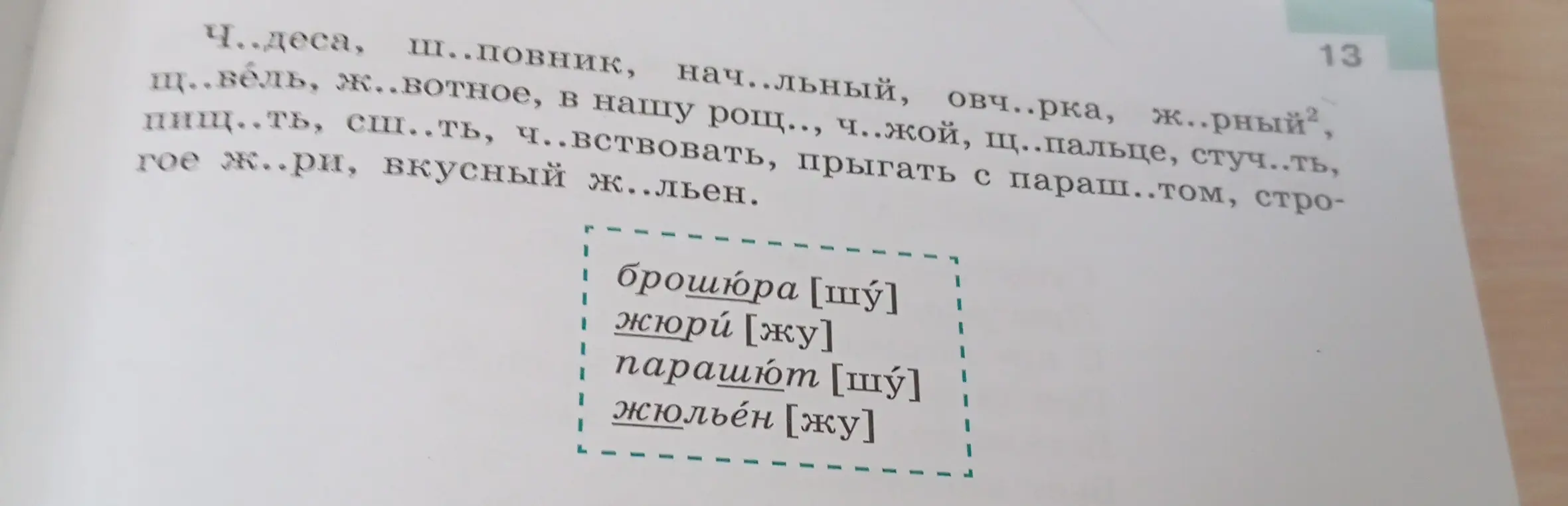 Выполни задание: выпиши в первый столбик слова с гласной и после шипящих, во второй — с гласной а, в третий — с гласной у. Обозначь изучаемую орфограмму. Какие слова не вошли ни в один из столбиков? Почему? Выпиши их отдельно.