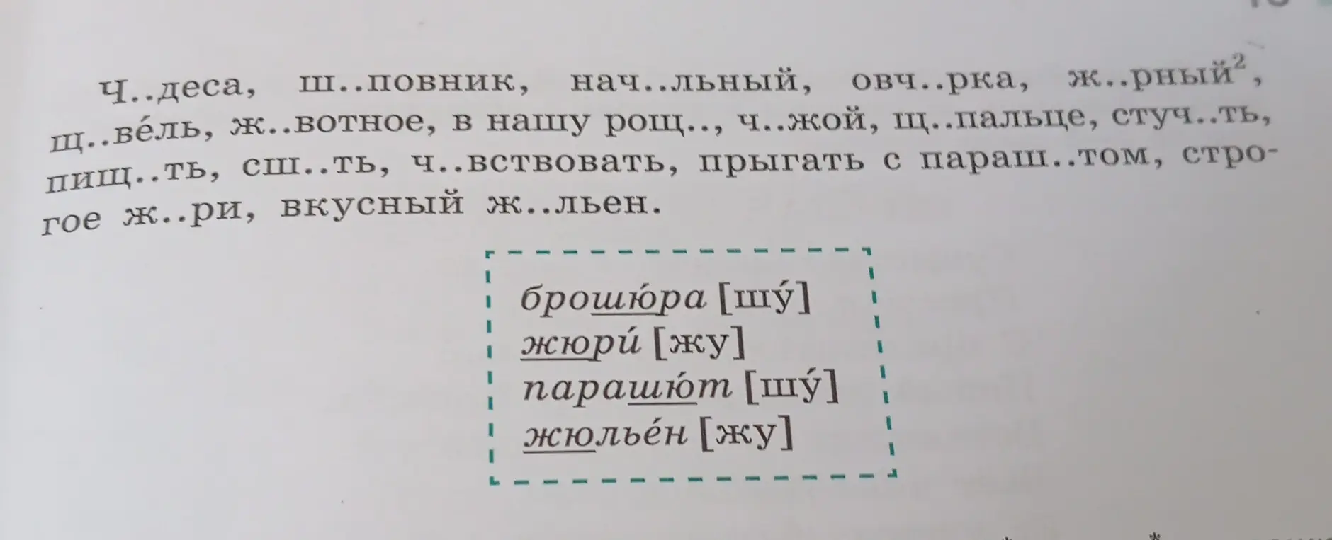 Выпиши в первый столбик слова с гласной и после шипящих, во второй — с гласной а, в третий — с гласной у. Обозначь изучаемую орфограмму (см. образец в правиле). Какие слова не вошли ни в один из столбиков? Почему? Выпиши их отдельно.