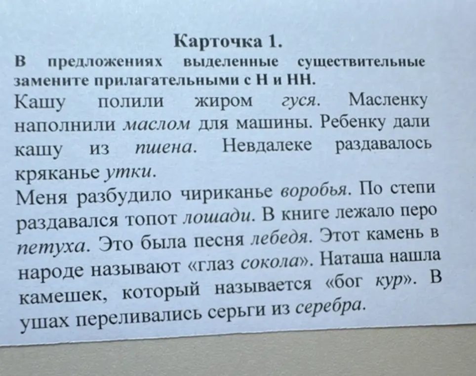Замени в предложениях выделенные существительные прилагательными с Н и НН.