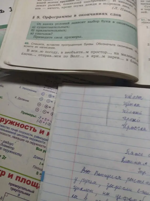 Спиши, вставляя пропущенные буквы в предложении 'В ясн...ю погоду, в необъятн...м простор..., на маленьк... ёлочк..., отправ...мся по Волг..., в ярк..м зарев..., в блага...'