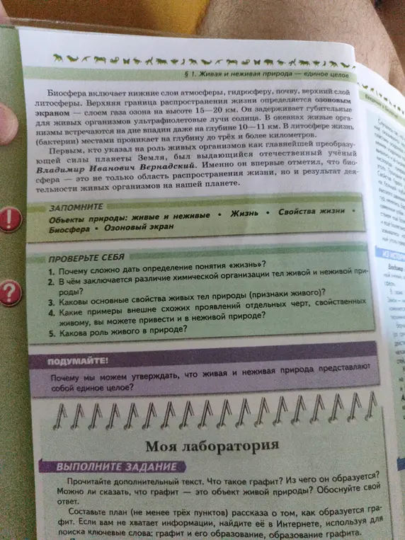 Могу ли я сказать, что графит - это объект живой природы?