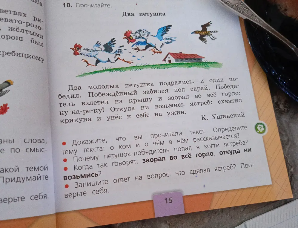 Предложи ответы на вопросы по рассказу «Два петушка»