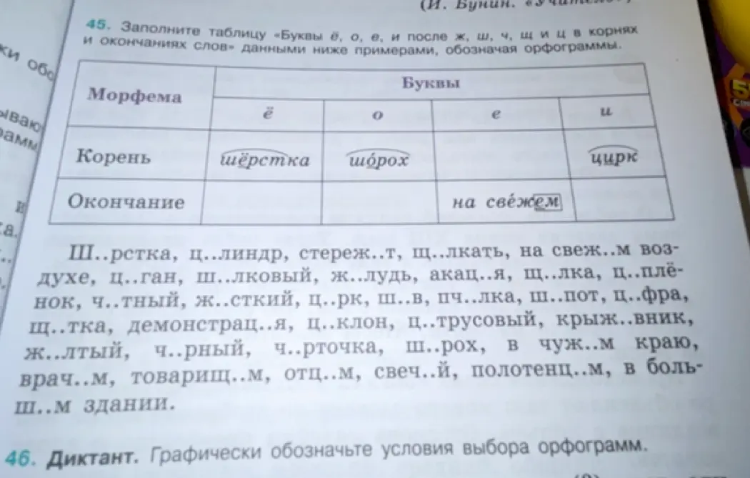 Заполни таблицу «Буквы ё, о, е, и после ж, ш, ч, щиц в корнях и окончаниях слов» данными ниже примерами, обозначая орфограммы в задании 45