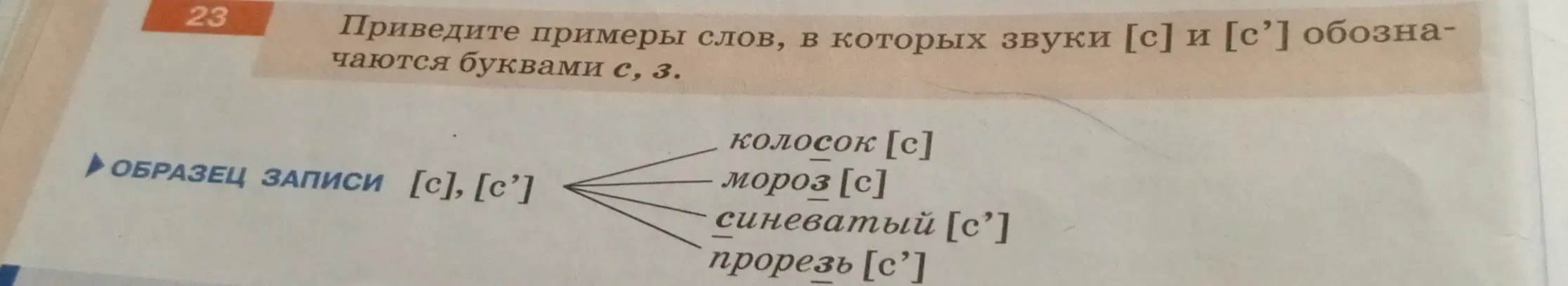 Приведи примеры слов, в которых звуки [с] и [с'] обозначаются буквами с, з.