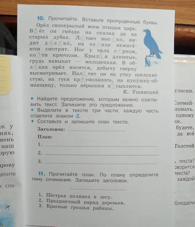 Помоги мне вставить пропущенные буквы в тексте, озаглавить текст, выделить в тексте три части и составить план текста.