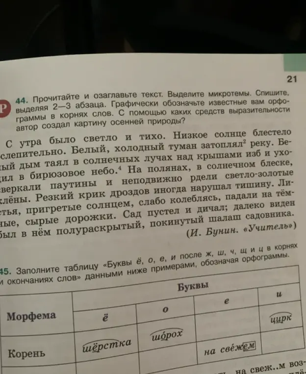 Можешь ли ты заполнить таблицу «Буквы ё, о, е, и после ж, ш, ч, щи ц в корнях и окончаниях слов» и проанализировать текст?