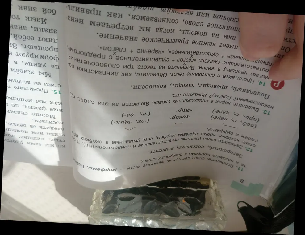 Как выделить корень в словах в упражнении 13?