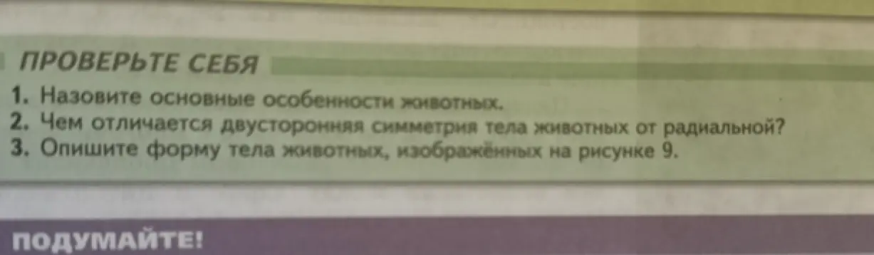 Назови основные особенности животных.