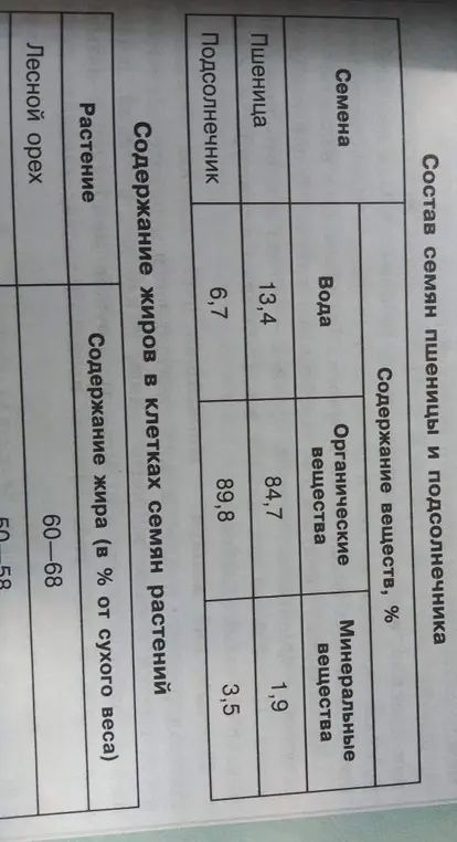 Что указано в таблице "Состав семян пшеницы и подсолнечника"?