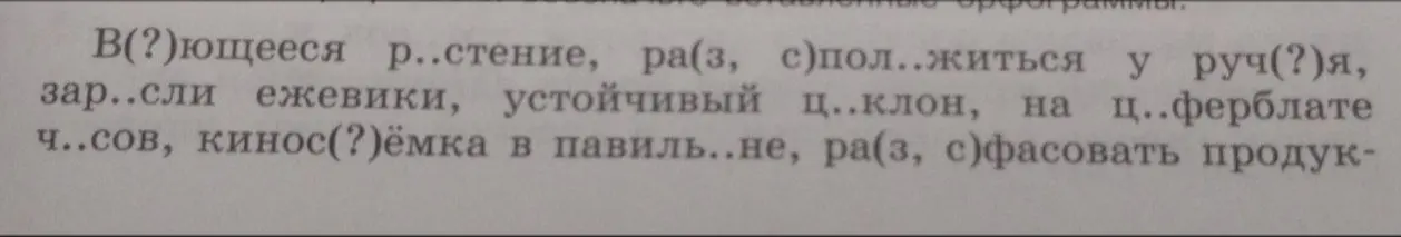 Выдели орфограмму в словах