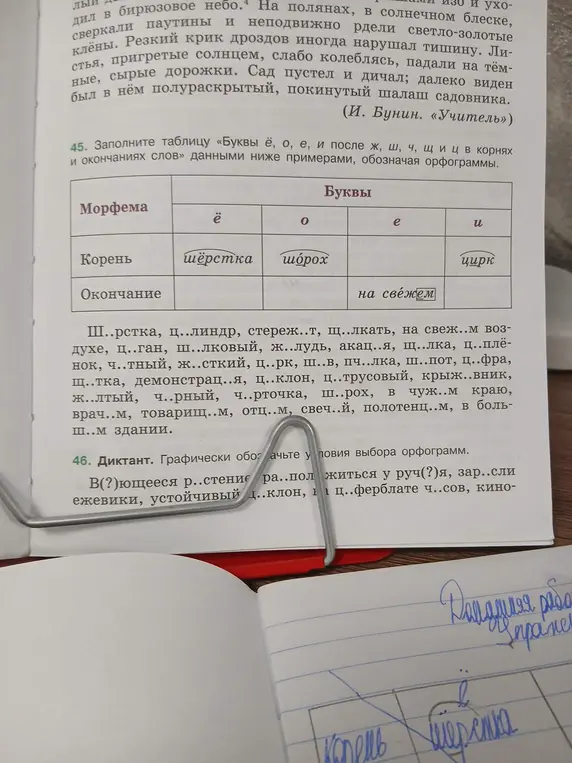 Заполни таблицу «Буквы ё, о, е, и после ж, ш, ч, щ и ц в корнях и окончаниях слов» данными ниже примерами, обозначая орфограммы.