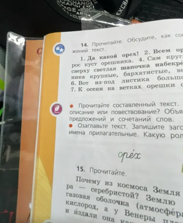 Озаглавь текст про орех, запиши заголовок и имена прилагательные, укажи какую роль они играют.