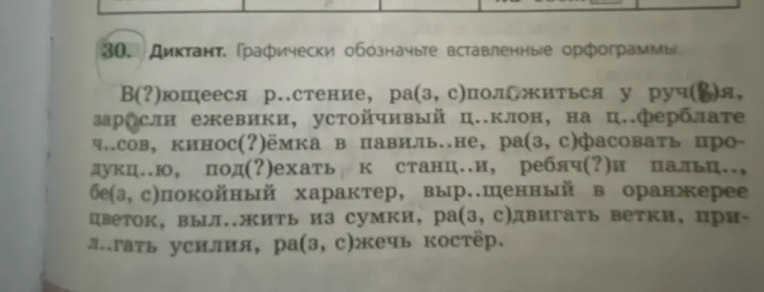 Определи орфограммы во фразах в диктанте: 'В(?)ющееся р..стение, ра(з, с)положиться у руч(8)я, ...'