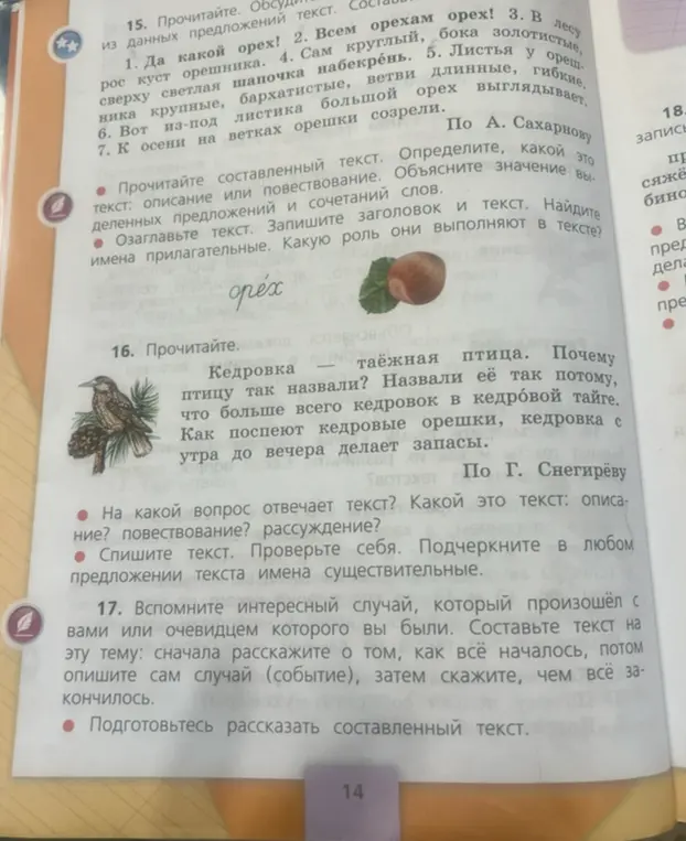Прочитай текст про орех. Определи, какой это текст: описание или повествование.