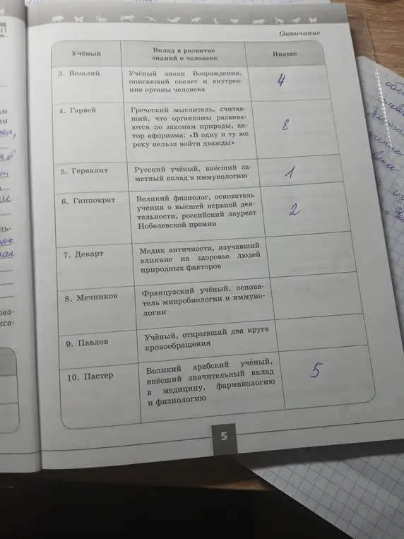 Заполни пустые ячейки в таблице