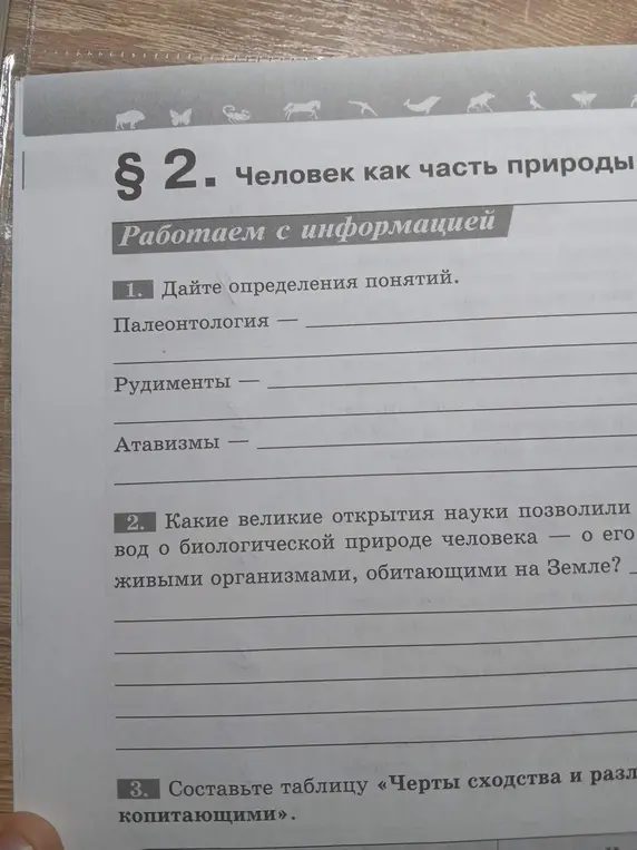 Ты просишь дать определения понятиям: палеонтология, рудименты и атавизмы