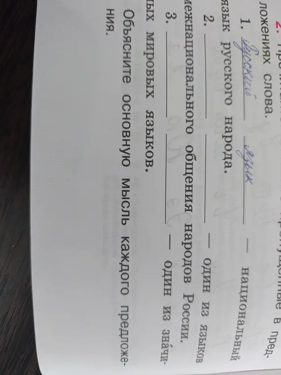 Объясни основную мысль каждого предложения о русском языке.