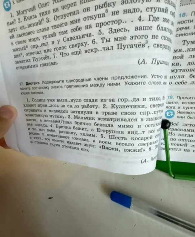 Подчеркни однородные члены предложения в упражнении 17