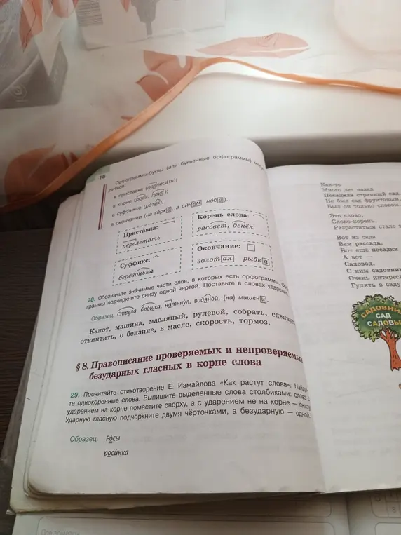 Как выполнить задания 28 и 29 по русскому языку?