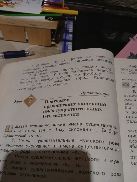 Выбери, какие имена существительные относятся к 1-му склонению