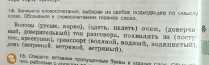 Выбери подходящее по смыслу слово: Волосы (русые, карие)
