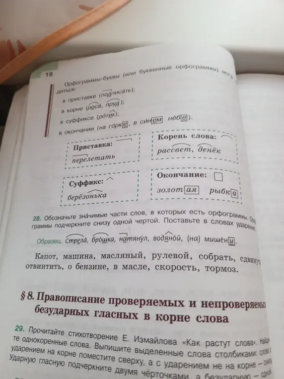 Помоги мне обозначить значимые части слов, в которых есть орфограммы