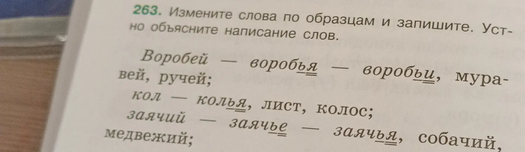 Можешь ли ты изменить слова 'муравей, ручей, кол, лист, колос, медвежий' по образцам из упражнения 263?