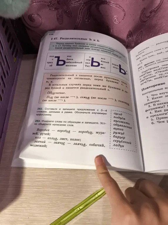 Измени слова по образцам и запиши (задание 263).