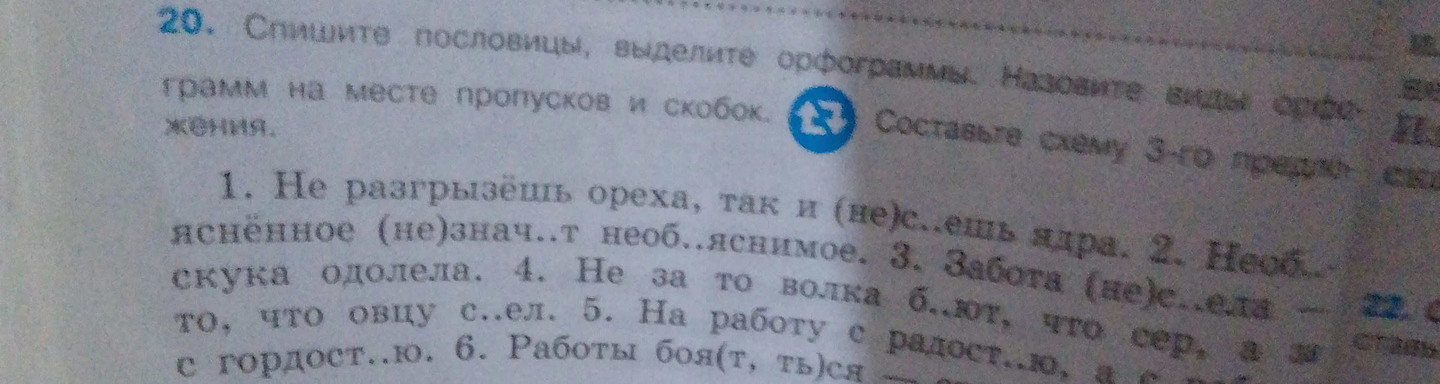 Помоги мне списать пословицы, выделить орфограммы и назвать виды орфограмм на месте пропусков и скобок в первом предложении: Не разгрызёшь ореха, так и (не)с..ешь ядра.