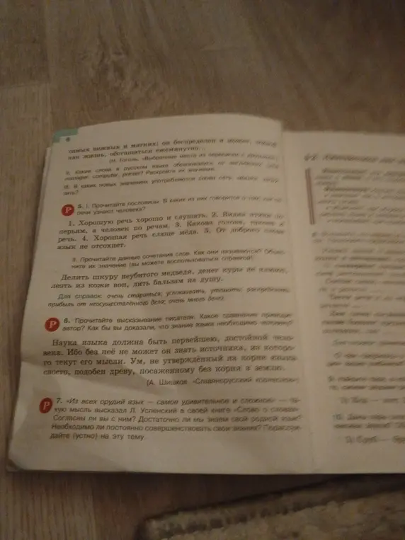 Выполни задания по русскому языку: определи значение слов, объясни смысл пословиц и высказываний
