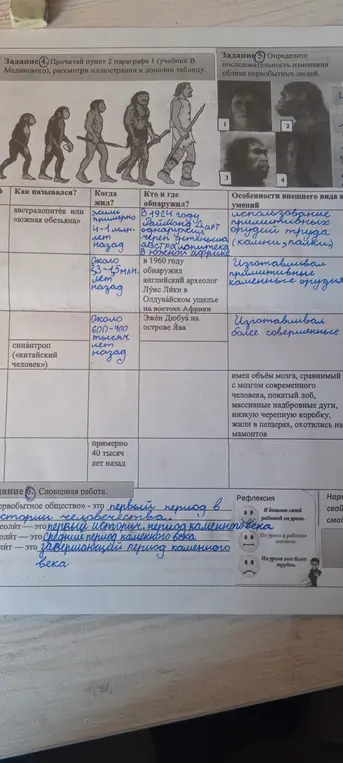 Определи последовательность изменения облика первобытных людей.