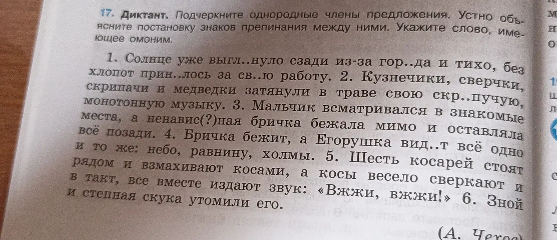 Объясни, как подчеркнуть однородные члены предложения в упражнении 17 и какое слово является омонимом