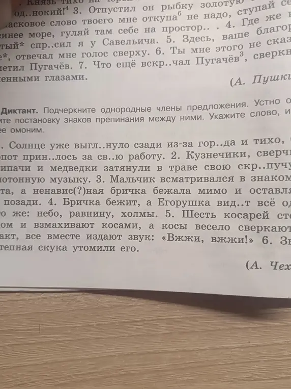 Подчеркни однородные члены предложения в диктанте