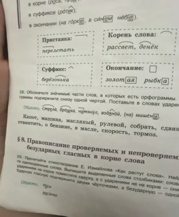 Обозначь значимые части слов: капот, машина, масляный и т.д.