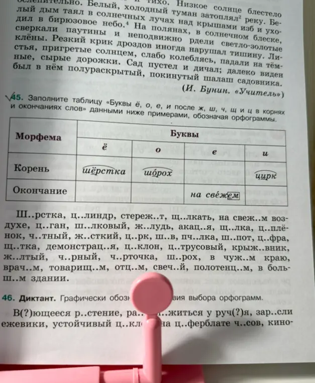 Заполни таблицу «Буквы ё, о, е, и после ж, ш, ч, щ и ц в корнях и окончаниях слов» данными ниже примерами, обозначая орфограммы.