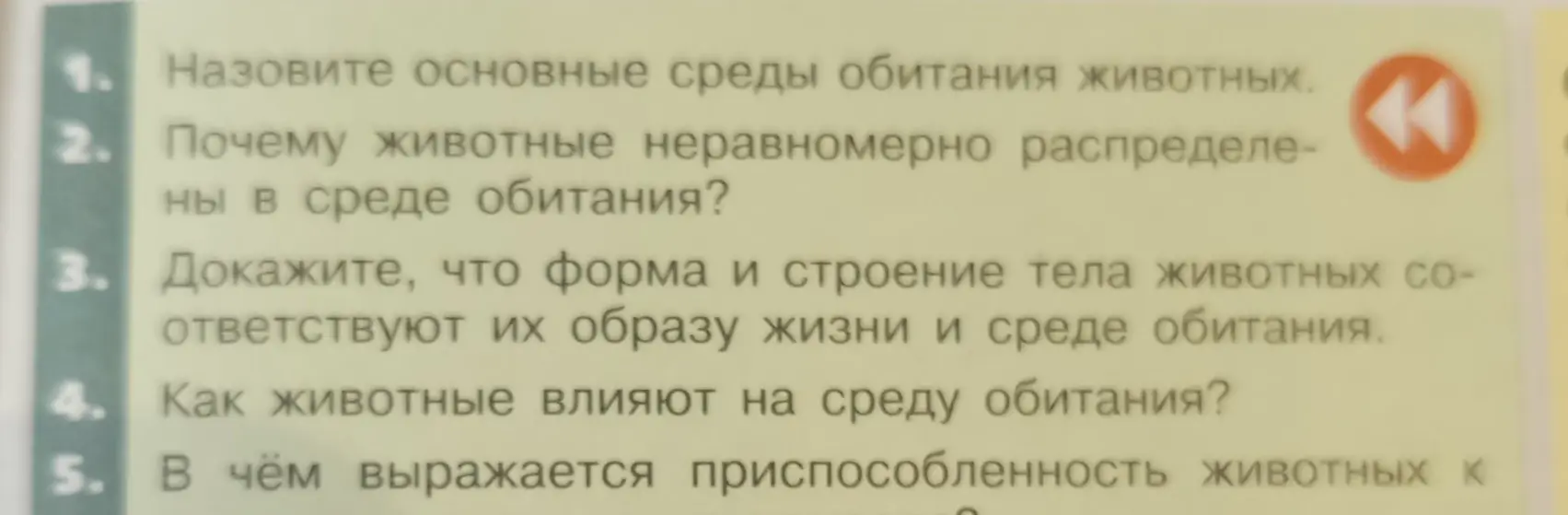 Назови основные среды обитания животных.